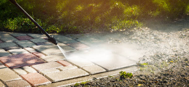Animal Enclosure Cleaning in Troy, MI